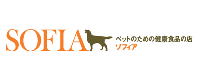 �g�b�v��
