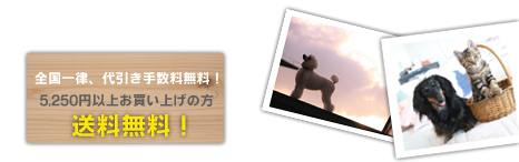 5,250�~�ȏ�ő��������I