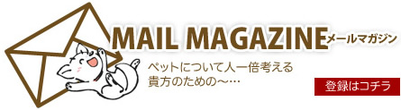 MAIL MAGAZINE