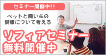 �Z�~�i�[�J�Ò�!!