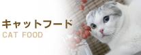 �L���b�g�t�[�h