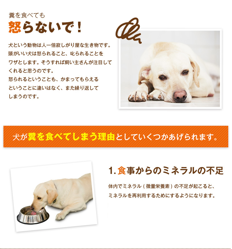 糞を食べても怒らないで