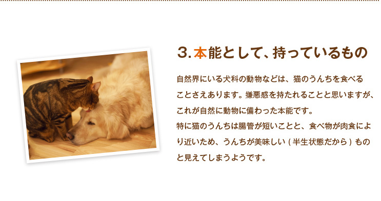 本能として持っているもの