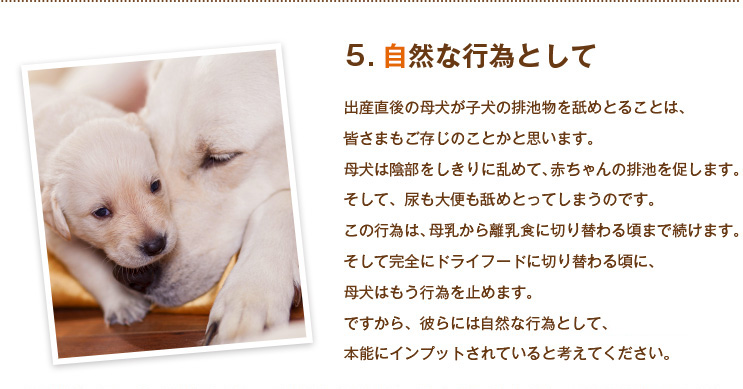 自然な行為として