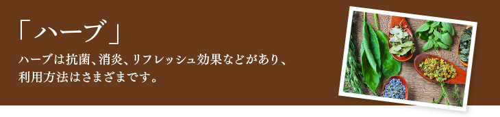 ハーブ