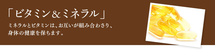 ビタミン&ミネラル