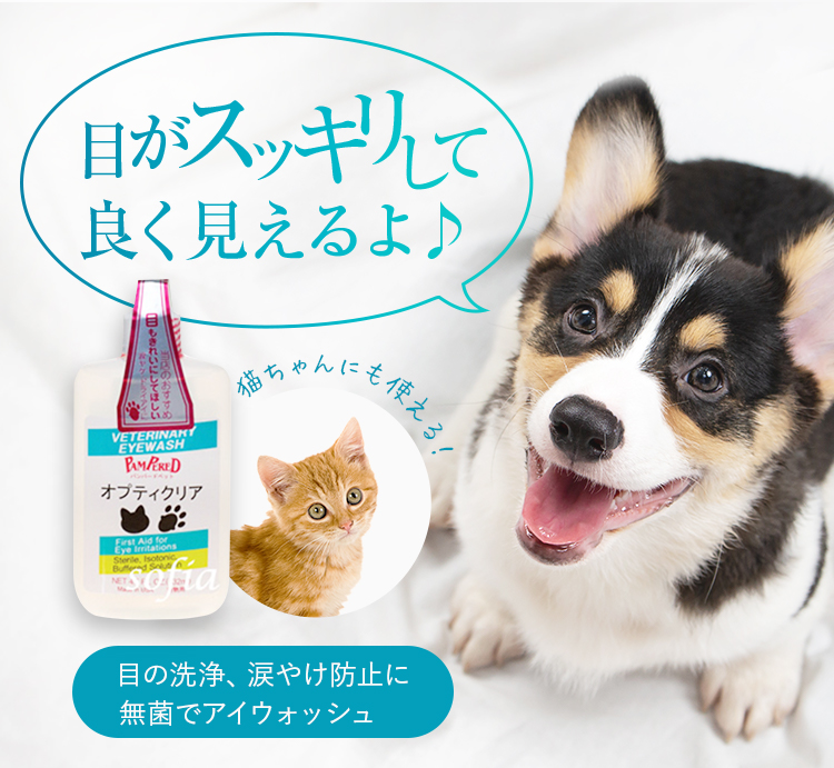 オプティクリアEX （犬・猫用）