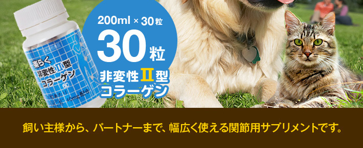 楽々非変性ii型コラーゲン 30粒 サプリメント 楽々非変性ii型コラーゲン 30粒 サプリメント