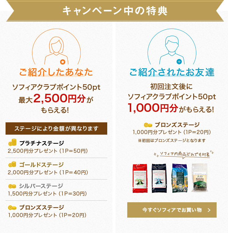 キャンペーン中の特典